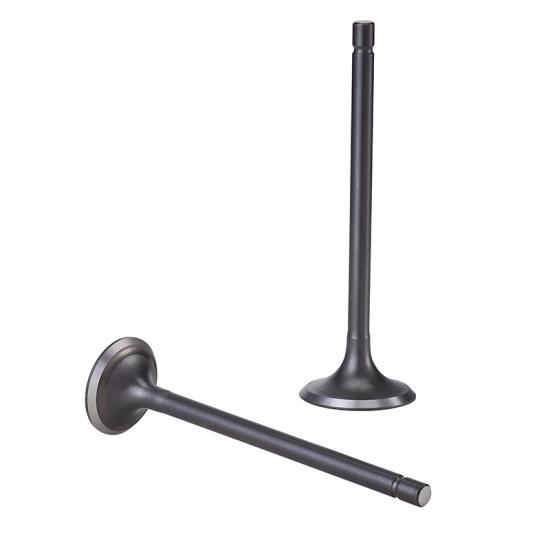 Intake & Exhaust Valves